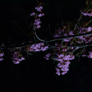 Fcww21废柴网登录入口手机版
